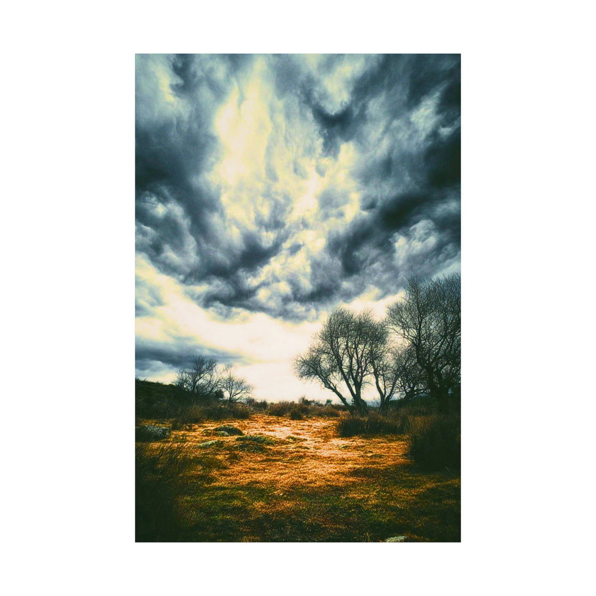 THE SCORCHED GROUNDS